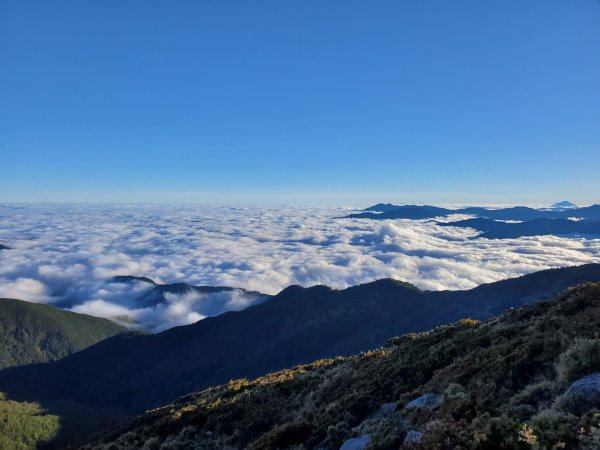 阿興阿賢嘉明湖向陽山三叉山803460