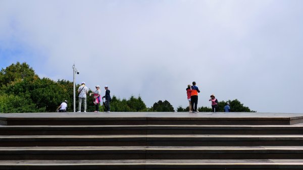 阿里山森遊區-祝山,對高岳步道2537005