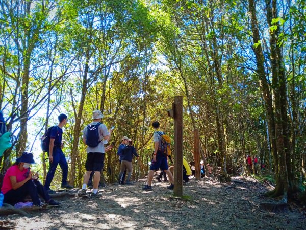 20211010_谷關七雄之白毛山1484737