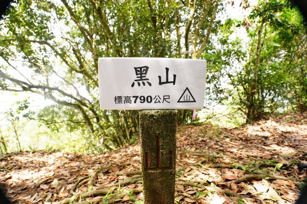 臺中 新社 頭嵙山、黑山、石苓湖山