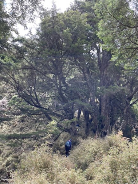 楠梓仙溪上南玉山1373058