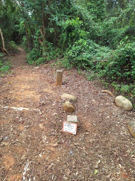 三段崎古道202401222696415