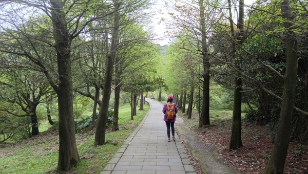 (姨婆趴趴走)第五十一集:台北冷擎步道、金包里大路(魚路古道)2757231