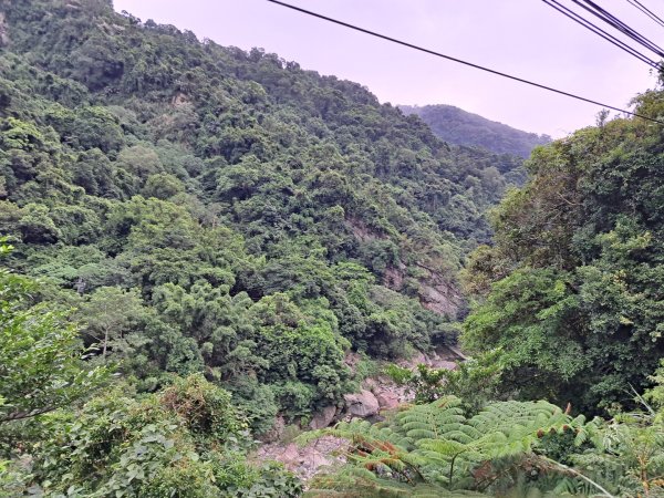 新北五寮尖登山步道3103270