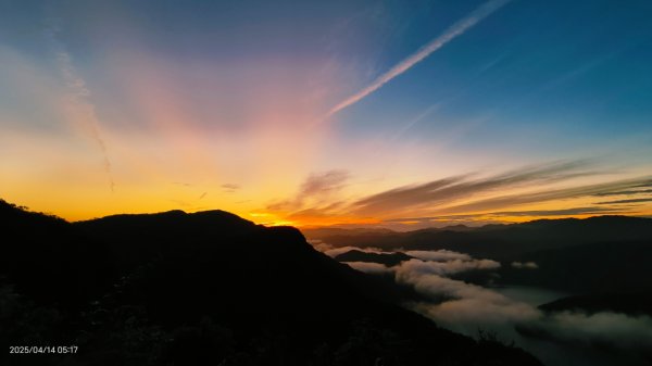 #翡翠水庫壩頂 #日出雲海 #火燒雲 #霞光 #月圓 #松月櫻 #鱷魚島雲海 4/14 & 162760631