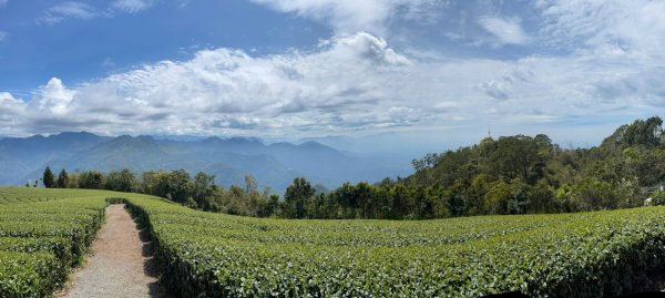 1110317阿拔泉山-觀音石山-大巃頂-獨立山O繞1645924