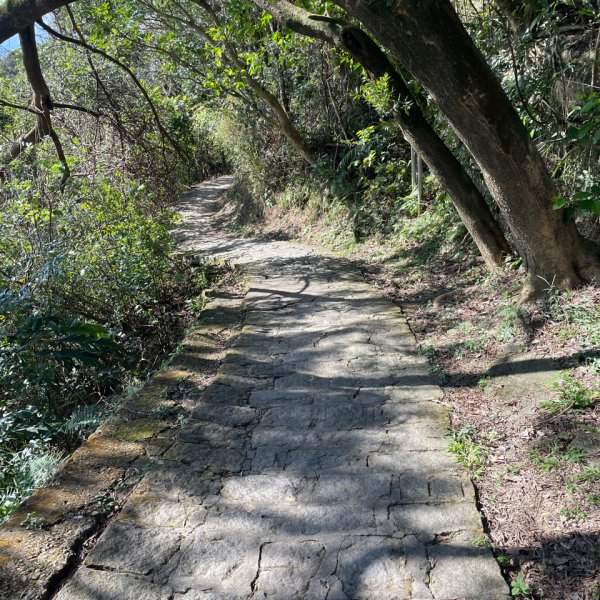 20241130 臺北大縱走第五段：捷運劍潭站至碧山巖（小百岳-劍潭山）2969060