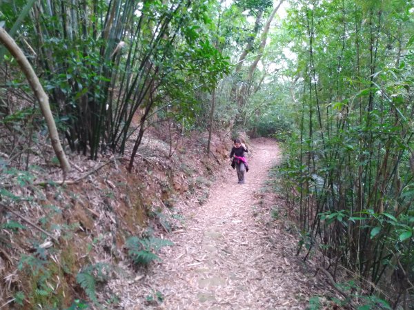 新竹 芎林 三段崎古道873885