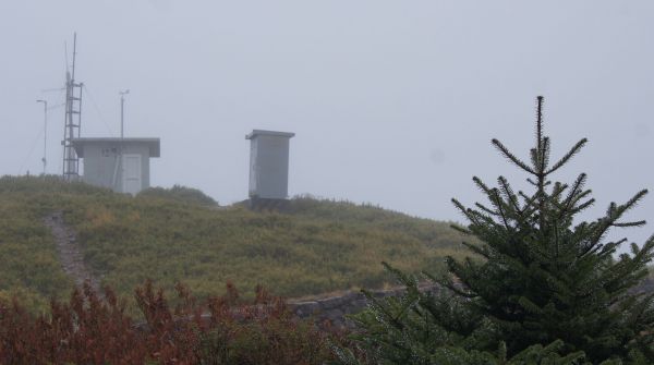 陰雨下的合歡山主峰別有風味296412