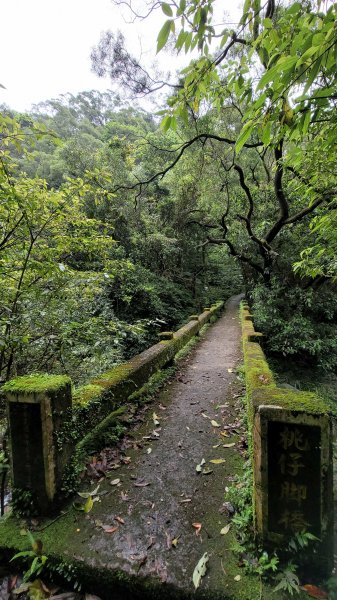 坪頂古圳步道2089577