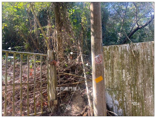 后里 七星山 新發現基石2990041