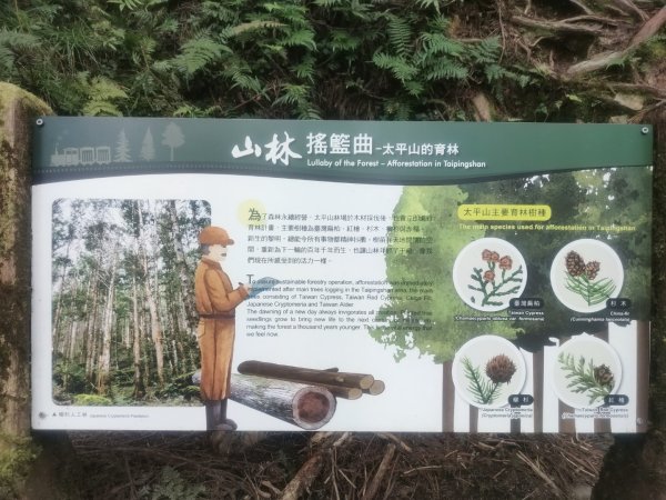 1150728茂興懷舊步道3097223
