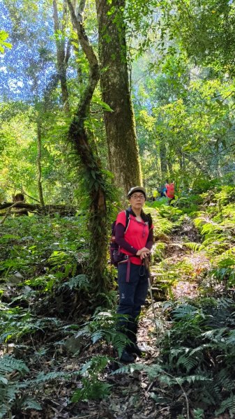 唐穗山11408162860924