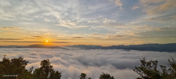 跟著雲海達人山友追雲趣 #石碇後山 #雲海 #霞光 #日出 #火燒雲 7/312848504