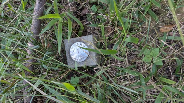 114.11.23龍泉山寺-成福山-十八羅漢岩-石門內尖山-石門內尖山東峰之旅2943737