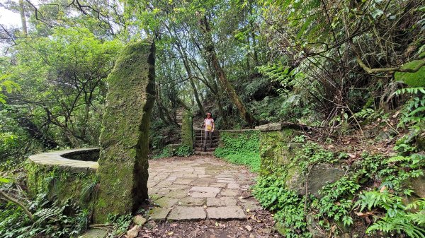 擎天崗系步道巡禮2104335