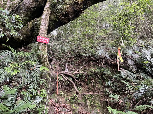 2025_0622 霞喀羅大山2819198