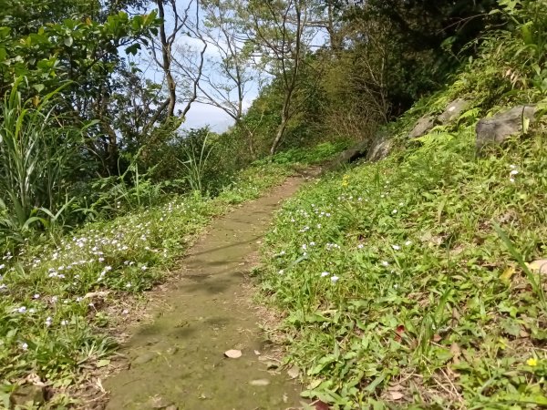 瑞芳區基隆山步道O型3010158