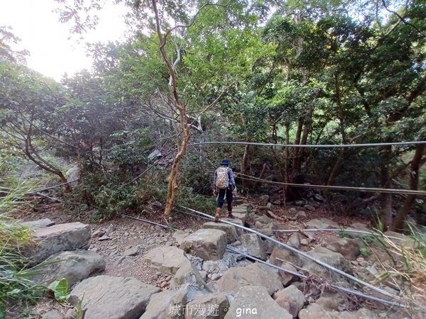 【屏東獅子鄉】海天一色。 台灣百大必訪步道~里龍山自然步道2550725