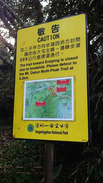 20260125 陽明山前後山健行(無極天元宮~山仔頂步道.向天池.向天山.面天山.二子坪)2998059