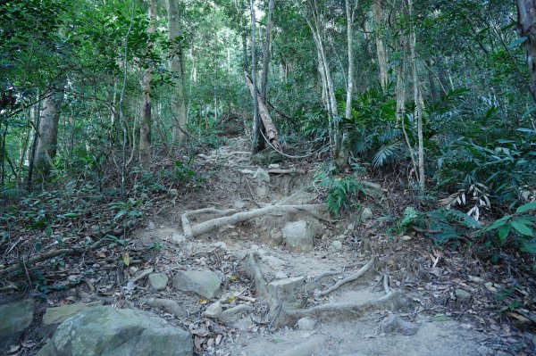 臺中 和平 白毛山、次郎山2670912