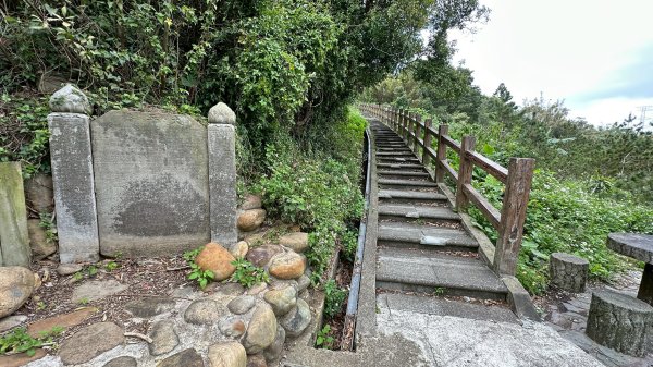 樟之細路三坑到關西3015332