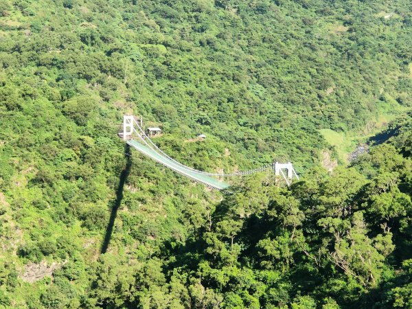 龍頭山步道2371720