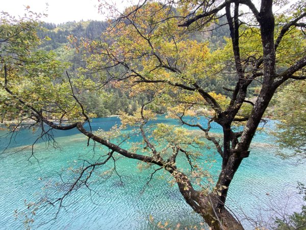 九寨溝風景2928127