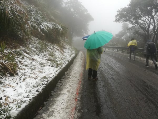 20210108冰封大屯山1232010