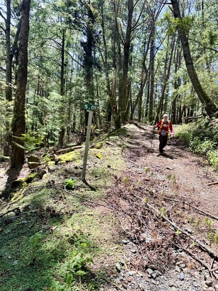 楠梓仙溪林道悠遊    2025.09.142886434