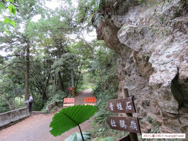 《南投》心靈之旅｜惠蓀林場步道群20171010-212890524