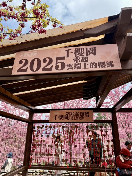 福壽山千櫻園2729946