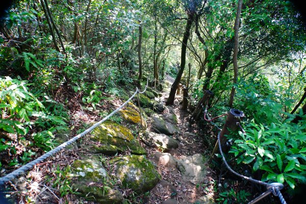 新北 土城 天上山、五城山、文筆山、五尖山、牛埔頭山、大尖山、二尖山、內冷水坑山、石門山、南天母山3134912