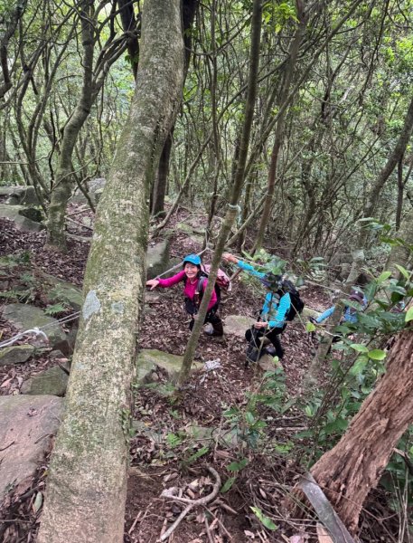 登峰古圳訪高頂山 北五指山 出荷蘭古道 快閃聖人瀑布2982329