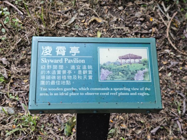 [百山百鳥尋旅-02/15] 2025_0809 社頂自然公園步道2856958