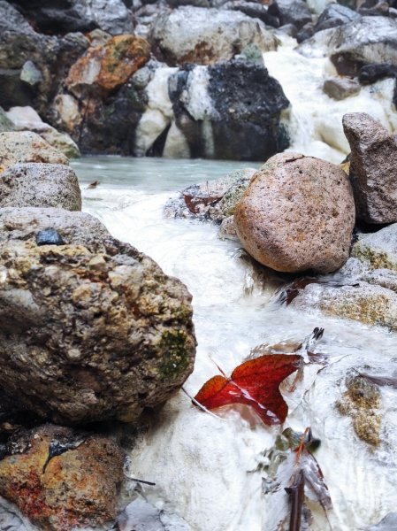 2026年元旦升旗快閃七星順探紫明溪2974004