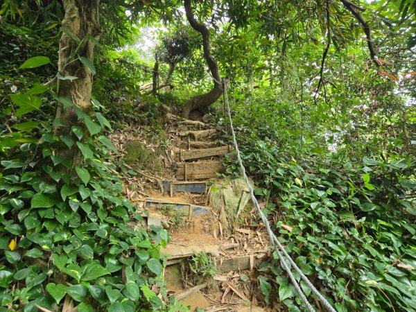 大社觀音山十三連峰環形2924419