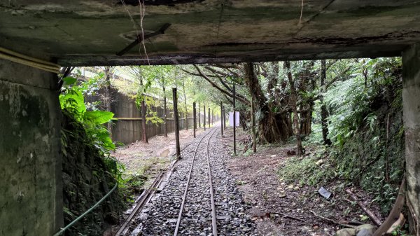 淡蘭古道中路2309186