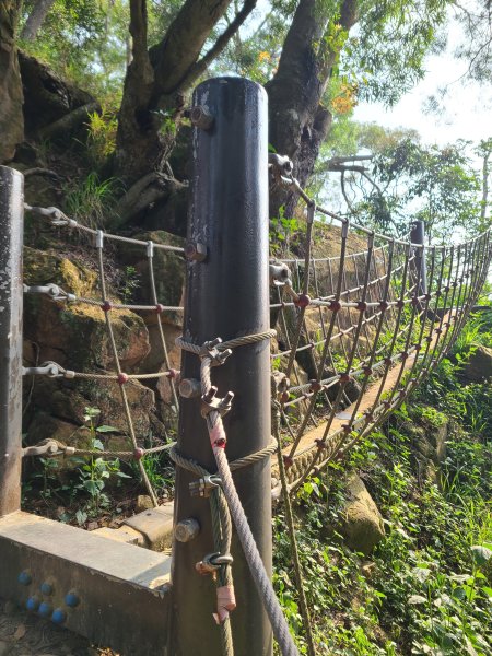 大坑6號上+8號探路+7號下2771423