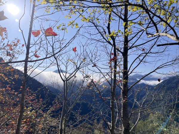 ~ 上帝的部落 - 司馬庫斯 ~3023496