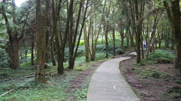 東眼山登山健行趣(小百岳22號)1544311