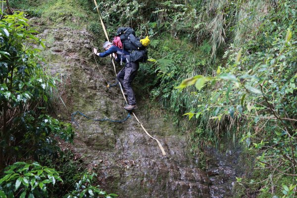 遠得要命山頭：清水金子西巒連稜1849159