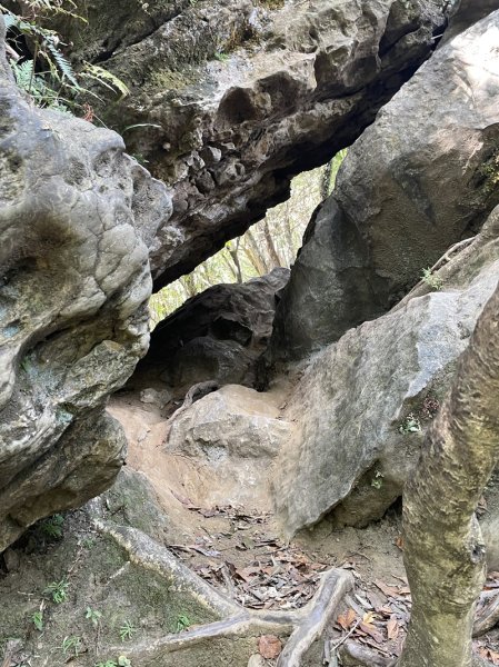 【二格山系】皇帝殿稜線2914130