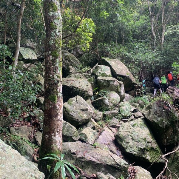 20240609 谷關東卯山(公子登山隊)2523433