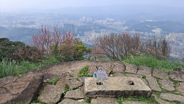 20240308汐止大尖山步道-四分尾山-耳空龜山2448628