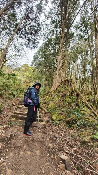 神阿縱走~台灣難抵極~大塔山2971478