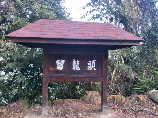 小百岳：金柑樹山1246093