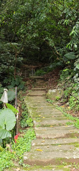 2026-0307 造鎮-文筆山-天華山-南勢角山-蘭花亭-牛伯伯3015854