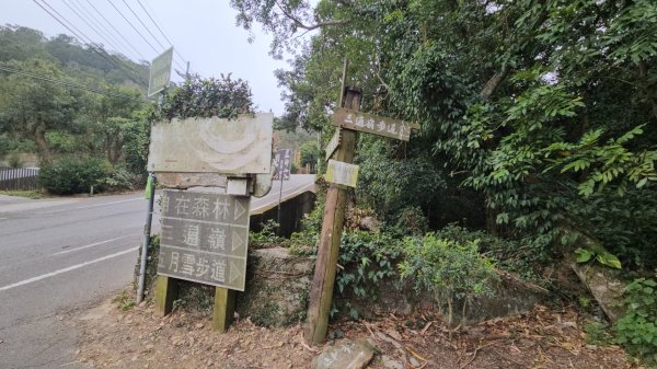 20260127三通嶺山.三義山(大桁茂山).慈濟山.大坪山大O走2989979