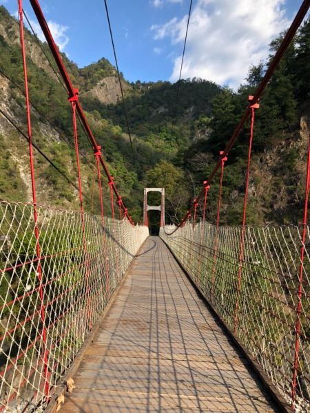 谷關七雄-坡津加山285294